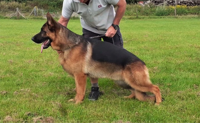 Image of Monksley Ghildo